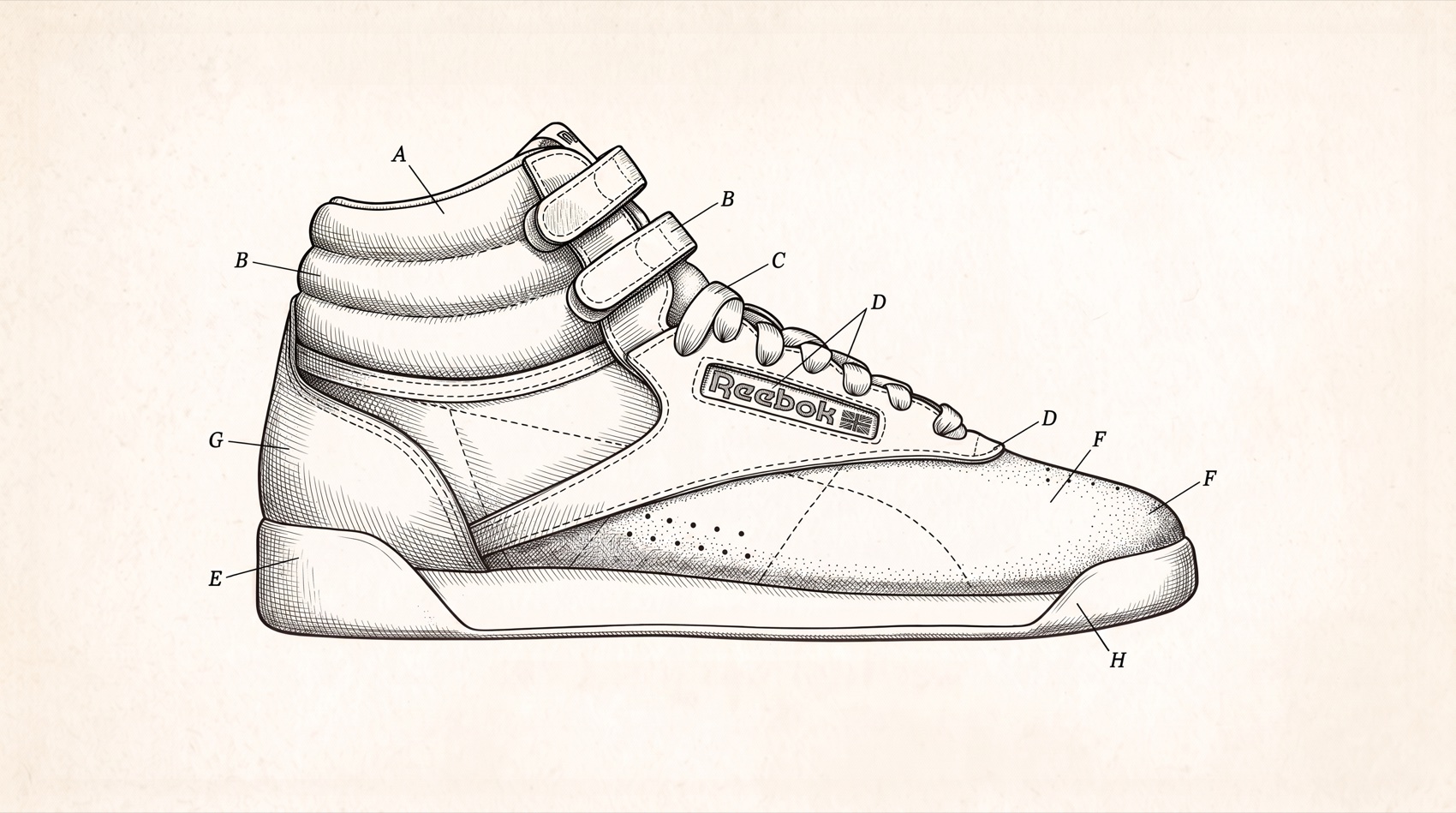 Line drawing of the Freestyle Hi High Top with lettered construction callouts